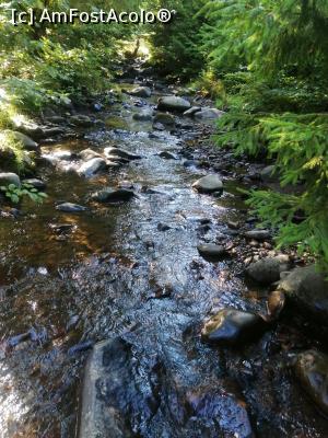 [P16] Apa paraului Iod, langa cascada » foto by dorgo
 - 
<span class="allrVoted glyphicon glyphicon-heart hidden" id="av1226846"></span>
<a class="m-l-10 hidden" id="sv1226846" onclick="voting_Foto_DelVot(,1226846,6324)" role="button">șterge vot <span class="glyphicon glyphicon-remove"></span></a>
<a id="v91226846" class=" c-red"  onclick="voting_Foto_SetVot(1226846)" role="button"><span class="glyphicon glyphicon-heart-empty"></span> <b>LIKE</b> = Votează poza</a> <img class="hidden"  id="f1226846W9" src="/imagini/loader.gif" border="0" /><span class="AjErrMes hidden" id="e1226846ErM"></span>