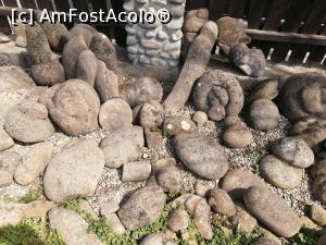 [P13] In curtea muzeului, gasiti o expozitie de trovanti » foto by dorgo
 - 
<span class="allrVoted glyphicon glyphicon-heart hidden" id="av1230616"></span>
<a class="m-l-10 hidden" id="sv1230616" onclick="voting_Foto_DelVot(,1230616,6324)" role="button">șterge vot <span class="glyphicon glyphicon-remove"></span></a>
<a id="v91230616" class=" c-red"  onclick="voting_Foto_SetVot(1230616)" role="button"><span class="glyphicon glyphicon-heart-empty"></span> <b>LIKE</b> = Votează poza</a> <img class="hidden"  id="f1230616W9" src="/imagini/loader.gif" border="0" /><span class="AjErrMes hidden" id="e1230616ErM"></span>