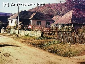 [P06] Satul Bezid inainte de inundare » foto by dorgo
 - 
<span class="allrVoted glyphicon glyphicon-heart hidden" id="av1230609"></span>
<a class="m-l-10 hidden" id="sv1230609" onclick="voting_Foto_DelVot(,1230609,6324)" role="button">șterge vot <span class="glyphicon glyphicon-remove"></span></a>
<a id="v91230609" class=" c-red"  onclick="voting_Foto_SetVot(1230609)" role="button"><span class="glyphicon glyphicon-heart-empty"></span> <b>LIKE</b> = Votează poza</a> <img class="hidden"  id="f1230609W9" src="/imagini/loader.gif" border="0" /><span class="AjErrMes hidden" id="e1230609ErM"></span>