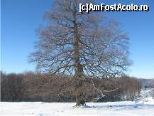 [P19] partia principala, abrupta, se continua cu alta mai lina,pentru incepatori » foto by dorgo
 - 
<span class="allrVoted glyphicon glyphicon-heart hidden" id="av95599"></span>
<a class="m-l-10 hidden" id="sv95599" onclick="voting_Foto_DelVot(,95599,6324)" role="button">șterge vot <span class="glyphicon glyphicon-remove"></span></a>
<a id="v995599" class=" c-red"  onclick="voting_Foto_SetVot(95599)" role="button"><span class="glyphicon glyphicon-heart-empty"></span> <b>LIKE</b> = Votează poza</a> <img class="hidden"  id="f95599W9" src="/imagini/loader.gif" border="0" /><span class="AjErrMes hidden" id="e95599ErM"></span>