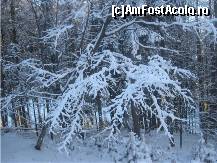 [P02] pe fereasta bazei de tratament realizezi totusi ca afara e iarna » foto by dorgo
 - 
<span class="allrVoted glyphicon glyphicon-heart hidden" id="av95575"></span>
<a class="m-l-10 hidden" id="sv95575" onclick="voting_Foto_DelVot(,95575,6324)" role="button">șterge vot <span class="glyphicon glyphicon-remove"></span></a>
<a id="v995575" class=" c-red"  onclick="voting_Foto_SetVot(95575)" role="button"><span class="glyphicon glyphicon-heart-empty"></span> <b>LIKE</b> = Votează poza</a> <img class="hidden"  id="f95575W9" src="/imagini/loader.gif" border="0" /><span class="AjErrMes hidden" id="e95575ErM"></span>