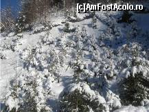 [P22] pe aici poti urca si pe jos pana in varf,intr-o ora » foto by dorgo
 - 
<span class="allrVoted glyphicon glyphicon-heart hidden" id="av95603"></span>
<a class="m-l-10 hidden" id="sv95603" onclick="voting_Foto_DelVot(,95603,6324)" role="button">șterge vot <span class="glyphicon glyphicon-remove"></span></a>
<a id="v995603" class=" c-red"  onclick="voting_Foto_SetVot(95603)" role="button"><span class="glyphicon glyphicon-heart-empty"></span> <b>LIKE</b> = Votează poza</a> <img class="hidden"  id="f95603W9" src="/imagini/loader.gif" border="0" /><span class="AjErrMes hidden" id="e95603ErM"></span>