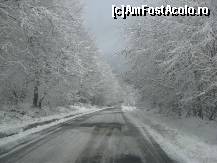 [P03] din Sovata, o pornesti spre partia de ski » foto by dorgo
 - 
<span class="allrVoted glyphicon glyphicon-heart hidden" id="av95577"></span>
<a class="m-l-10 hidden" id="sv95577" onclick="voting_Foto_DelVot(,95577,6324)" role="button">șterge vot <span class="glyphicon glyphicon-remove"></span></a>
<a id="v995577" class=" c-red"  onclick="voting_Foto_SetVot(95577)" role="button"><span class="glyphicon glyphicon-heart-empty"></span> <b>LIKE</b> = Votează poza</a> <img class="hidden"  id="f95577W9" src="/imagini/loader.gif" border="0" /><span class="AjErrMes hidden" id="e95577ErM"></span>