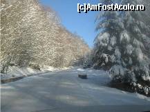 [P04] e un 'soare cu dinti' » foto by dorgo
 - 
<span class="allrVoted glyphicon glyphicon-heart hidden" id="av95578"></span>
<a class="m-l-10 hidden" id="sv95578" onclick="voting_Foto_DelVot(,95578,6324)" role="button">șterge vot <span class="glyphicon glyphicon-remove"></span></a>
<a id="v995578" class=" c-red"  onclick="voting_Foto_SetVot(95578)" role="button"><span class="glyphicon glyphicon-heart-empty"></span> <b>LIKE</b> = Votează poza</a> <img class="hidden"  id="f95578W9" src="/imagini/loader.gif" border="0" /><span class="AjErrMes hidden" id="e95578ErM"></span>