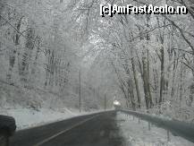 [P06] uneori treci prin 'paduri-galerii' de zapada » foto by dorgo
 - 
<span class="allrVoted glyphicon glyphicon-heart hidden" id="av95580"></span>
<a class="m-l-10 hidden" id="sv95580" onclick="voting_Foto_DelVot(,95580,6324)" role="button">șterge vot <span class="glyphicon glyphicon-remove"></span></a>
<a id="v995580" class=" c-red"  onclick="voting_Foto_SetVot(95580)" role="button"><span class="glyphicon glyphicon-heart-empty"></span> <b>LIKE</b> = Votează poza</a> <img class="hidden"  id="f95580W9" src="/imagini/loader.gif" border="0" /><span class="AjErrMes hidden" id="e95580ErM"></span>