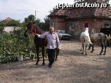 [P14] Iar la Hadareni sunt cei mai vestiti potcovari de cai » foto by dorgo
 - 
<span class="allrVoted glyphicon glyphicon-heart hidden" id="av199223"></span>
<a class="m-l-10 hidden" id="sv199223" onclick="voting_Foto_DelVot(,199223,6324)" role="button">șterge vot <span class="glyphicon glyphicon-remove"></span></a>
<a id="v9199223" class=" c-red"  onclick="voting_Foto_SetVot(199223)" role="button"><span class="glyphicon glyphicon-heart-empty"></span> <b>LIKE</b> = Votează poza</a> <img class="hidden"  id="f199223W9" src="/imagini/loader.gif" border="0" /><span class="AjErrMes hidden" id="e199223ErM"></span>