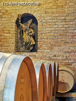 [P19] Sf&acirc;ntul Urbino - protector al viilor - statue veche de 600 de ani, adusa de proprietarul podgoriei din Italia » foto by cata2106
 - 
<span class="allrVoted glyphicon glyphicon-heart hidden" id="av1320956"></span>
<a class="m-l-10 hidden" id="sv1320956" onclick="voting_Foto_DelVot(,1320956,6324)" role="button">șterge vot <span class="glyphicon glyphicon-remove"></span></a>
<a id="v91320956" class=" c-red"  onclick="voting_Foto_SetVot(1320956)" role="button"><span class="glyphicon glyphicon-heart-empty"></span> <b>LIKE</b> = Votează poza</a> <img class="hidden"  id="f1320956W9" src="/imagini/loader.gif" border="0" /><span class="AjErrMes hidden" id="e1320956ErM"></span>