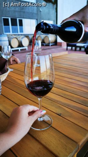 [P33] Urmeaza roșu » foto by cata2106
 - 
<span class="allrVoted glyphicon glyphicon-heart hidden" id="av1320970"></span>
<a class="m-l-10 hidden" id="sv1320970" onclick="voting_Foto_DelVot(,1320970,6324)" role="button">șterge vot <span class="glyphicon glyphicon-remove"></span></a>
<a id="v91320970" class=" c-red"  onclick="voting_Foto_SetVot(1320970)" role="button"><span class="glyphicon glyphicon-heart-empty"></span> <b>LIKE</b> = Votează poza</a> <img class="hidden"  id="f1320970W9" src="/imagini/loader.gif" border="0" /><span class="AjErrMes hidden" id="e1320970ErM"></span>