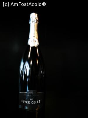 [P38] Spumantul lor » foto by cata2106
 - 
<span class="allrVoted glyphicon glyphicon-heart hidden" id="av1320975"></span>
<a class="m-l-10 hidden" id="sv1320975" onclick="voting_Foto_DelVot(,1320975,6324)" role="button">șterge vot <span class="glyphicon glyphicon-remove"></span></a>
<a id="v91320975" class=" c-red"  onclick="voting_Foto_SetVot(1320975)" role="button"><span class="glyphicon glyphicon-heart-empty"></span> <b>LIKE</b> = Votează poza</a> <img class="hidden"  id="f1320975W9" src="/imagini/loader.gif" border="0" /><span class="AjErrMes hidden" id="e1320975ErM"></span>