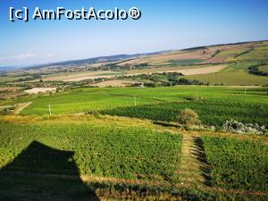 [P05] 40 de hectare de vie » foto by cata2106
 - 
<span class="allrVoted glyphicon glyphicon-heart hidden" id="av1320942"></span>
<a class="m-l-10 hidden" id="sv1320942" onclick="voting_Foto_DelVot(,1320942,6324)" role="button">șterge vot <span class="glyphicon glyphicon-remove"></span></a>
<a id="v91320942" class=" c-red"  onclick="voting_Foto_SetVot(1320942)" role="button"><span class="glyphicon glyphicon-heart-empty"></span> <b>LIKE</b> = Votează poza</a> <img class="hidden"  id="f1320942W9" src="/imagini/loader.gif" border="0" /><span class="AjErrMes hidden" id="e1320942ErM"></span>