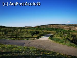 [P08] Drum &icirc;n podgorie » foto by cata2106
 - 
<span class="allrVoted glyphicon glyphicon-heart hidden" id="av1320945"></span>
<a class="m-l-10 hidden" id="sv1320945" onclick="voting_Foto_DelVot(,1320945,6324)" role="button">șterge vot <span class="glyphicon glyphicon-remove"></span></a>
<a id="v91320945" class=" c-red"  onclick="voting_Foto_SetVot(1320945)" role="button"><span class="glyphicon glyphicon-heart-empty"></span> <b>LIKE</b> = Votează poza</a> <img class="hidden"  id="f1320945W9" src="/imagini/loader.gif" border="0" /><span class="AjErrMes hidden" id="e1320945ErM"></span>