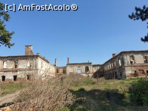 [P25] Ruinele castelul Haller din Sanpaul, candva o constructie luxoasa cu camere boltite decorate cu picturi si sculpturi, mobilier din lemn masiv adus din Paris si candelabre din Viena. » foto by geani anto
 - 
<span class="allrVoted glyphicon glyphicon-heart hidden" id="av1211775"></span>
<a class="m-l-10 hidden" id="sv1211775" onclick="voting_Foto_DelVot(,1211775,6324)" role="button">șterge vot <span class="glyphicon glyphicon-remove"></span></a>
<a id="v91211775" class=" c-red"  onclick="voting_Foto_SetVot(1211775)" role="button"><span class="glyphicon glyphicon-heart-empty"></span> <b>LIKE</b> = Votează poza</a> <img class="hidden"  id="f1211775W9" src="/imagini/loader.gif" border="0" /><span class="AjErrMes hidden" id="e1211775ErM"></span>