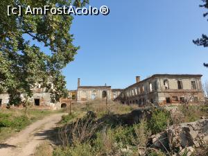 [P26]  -- <small>// FĂRĂ DESCRIERE</small> » foto by geani anto
 - 
<span class="allrVoted glyphicon glyphicon-heart hidden" id="av1211776"></span>
<a class="m-l-10 hidden" id="sv1211776" onclick="voting_Foto_DelVot(,1211776,6324)" role="button">șterge vot <span class="glyphicon glyphicon-remove"></span></a>
<a id="v91211776" class=" c-red"  onclick="voting_Foto_SetVot(1211776)" role="button"><span class="glyphicon glyphicon-heart-empty"></span> <b>LIKE</b> = Votează poza</a> <img class="hidden"  id="f1211776W9" src="/imagini/loader.gif" border="0" /><span class="AjErrMes hidden" id="e1211776ErM"></span>