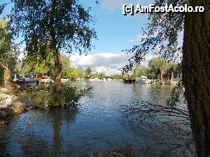 [P03]  -- <small>// FĂRĂ DESCRIERE</small> » foto by andreichis
 - 
<span class="allrVoted glyphicon glyphicon-heart hidden" id="av510754"></span>
<a class="m-l-10 hidden" id="sv510754" onclick="voting_Foto_DelVot(,510754,6339)" role="button">șterge vot <span class="glyphicon glyphicon-remove"></span></a>
<a id="v9510754" class=" c-red"  onclick="voting_Foto_SetVot(510754)" role="button"><span class="glyphicon glyphicon-heart-empty"></span> <b>LIKE</b> = Votează poza</a> <img class="hidden"  id="f510754W9" src="/imagini/loader.gif" border="0" /><span class="AjErrMes hidden" id="e510754ErM"></span>