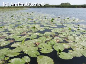 [P03] lacul Isacc » foto by marival
 - 
<span class="allrVoted glyphicon glyphicon-heart hidden" id="av718737"></span>
<a class="m-l-10 hidden" id="sv718737" onclick="voting_Foto_DelVot(,718737,6339)" role="button">șterge vot <span class="glyphicon glyphicon-remove"></span></a>
<a id="v9718737" class=" c-red"  onclick="voting_Foto_SetVot(718737)" role="button"><span class="glyphicon glyphicon-heart-empty"></span> <b>LIKE</b> = Votează poza</a> <img class="hidden"  id="f718737W9" src="/imagini/loader.gif" border="0" /><span class="AjErrMes hidden" id="e718737ErM"></span>