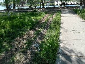 [P08] Cabluri » foto by senache
 - 
<span class="allrVoted glyphicon glyphicon-heart hidden" id="av507184"></span>
<a class="m-l-10 hidden" id="sv507184" onclick="voting_Foto_DelVot(,507184,6339)" role="button">șterge vot <span class="glyphicon glyphicon-remove"></span></a>
<a id="v9507184" class=" c-red"  onclick="voting_Foto_SetVot(507184)" role="button"><span class="glyphicon glyphicon-heart-empty"></span> <b>LIKE</b> = Votează poza</a> <img class="hidden"  id="f507184W9" src="/imagini/loader.gif" border="0" /><span class="AjErrMes hidden" id="e507184ErM"></span>