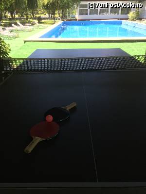 [P04] Relxare la ora pranzului, la umbra, feriti de razele puternice ale soarelui » foto by aAlice
 - 
<span class="allrVoted glyphicon glyphicon-heart hidden" id="av532351"></span>
<a class="m-l-10 hidden" id="sv532351" onclick="voting_Foto_DelVot(,532351,6339)" role="button">șterge vot <span class="glyphicon glyphicon-remove"></span></a>
<a id="v9532351" class=" c-red"  onclick="voting_Foto_SetVot(532351)" role="button"><span class="glyphicon glyphicon-heart-empty"></span> <b>LIKE</b> = Votează poza</a> <img class="hidden"  id="f532351W9" src="/imagini/loader.gif" border="0" /><span class="AjErrMes hidden" id="e532351ErM"></span>