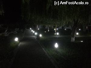 [P05]  -- <small>// FĂRĂ DESCRIERE</small> » foto by aAlice
 - 
<span class="allrVoted glyphicon glyphicon-heart hidden" id="av532353"></span>
<a class="m-l-10 hidden" id="sv532353" onclick="voting_Foto_DelVot(,532353,6339)" role="button">șterge vot <span class="glyphicon glyphicon-remove"></span></a>
<a id="v9532353" class=" c-red"  onclick="voting_Foto_SetVot(532353)" role="button"><span class="glyphicon glyphicon-heart-empty"></span> <b>LIKE</b> = Votează poza</a> <img class="hidden"  id="f532353W9" src="/imagini/loader.gif" border="0" /><span class="AjErrMes hidden" id="e532353ErM"></span>