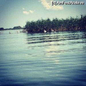 [P04]  -- <small>// FĂRĂ DESCRIERE</small> » foto by GheorgheA
 - 
<span class="allrVoted glyphicon glyphicon-heart hidden" id="av529640"></span>
<a class="m-l-10 hidden" id="sv529640" onclick="voting_Foto_DelVot(,529640,6339)" role="button">șterge vot <span class="glyphicon glyphicon-remove"></span></a>
<a id="v9529640" class=" c-red"  onclick="voting_Foto_SetVot(529640)" role="button"><span class="glyphicon glyphicon-heart-empty"></span> <b>LIKE</b> = Votează poza</a> <img class="hidden"  id="f529640W9" src="/imagini/loader.gif" border="0" /><span class="AjErrMes hidden" id="e529640ErM"></span>