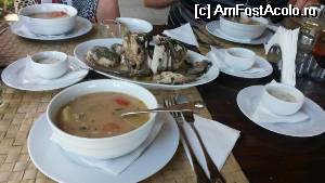 [P05]  -- <small>// FĂRĂ DESCRIERE</small> » foto by monicutza1978
 - 
<span class="allrVoted glyphicon glyphicon-heart hidden" id="av529647"></span>
<a class="m-l-10 hidden" id="sv529647" onclick="voting_Foto_DelVot(,529647,6339)" role="button">șterge vot <span class="glyphicon glyphicon-remove"></span></a>
<a id="v9529647" class=" c-red"  onclick="voting_Foto_SetVot(529647)" role="button"><span class="glyphicon glyphicon-heart-empty"></span> <b>LIKE</b> = Votează poza</a> <img class="hidden"  id="f529647W9" src="/imagini/loader.gif" border="0" /><span class="AjErrMes hidden" id="e529647ErM"></span>