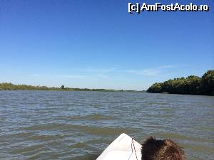 [P03]  -- <small>// FĂRĂ DESCRIERE</small> » foto by mateis
 - 
<span class="allrVoted glyphicon glyphicon-heart hidden" id="av531438"></span>
<a class="m-l-10 hidden" id="sv531438" onclick="voting_Foto_DelVot(,531438,6339)" role="button">șterge vot <span class="glyphicon glyphicon-remove"></span></a>
<a id="v9531438" class=" c-red"  onclick="voting_Foto_SetVot(531438)" role="button"><span class="glyphicon glyphicon-heart-empty"></span> <b>LIKE</b> = Votează poza</a> <img class="hidden"  id="f531438W9" src="/imagini/loader.gif" border="0" /><span class="AjErrMes hidden" id="e531438ErM"></span>