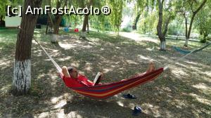 [P03] Sa tot citesti...  » foto by ioana74
 - 
<span class="allrVoted glyphicon glyphicon-heart hidden" id="av996286"></span>
<a class="m-l-10 hidden" id="sv996286" onclick="voting_Foto_DelVot(,996286,6339)" role="button">șterge vot <span class="glyphicon glyphicon-remove"></span></a>
<a id="v9996286" class=" c-red"  onclick="voting_Foto_SetVot(996286)" role="button"><span class="glyphicon glyphicon-heart-empty"></span> <b>LIKE</b> = Votează poza</a> <img class="hidden"  id="f996286W9" src="/imagini/loader.gif" border="0" /><span class="AjErrMes hidden" id="e996286ErM"></span>