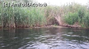 [P01] pe canale[poză fără text explicativ] » foto by carmen simion
 - 
<span class="allrVoted glyphicon glyphicon-heart hidden" id="av925603"></span>
<a class="m-l-10 hidden" id="sv925603" onclick="voting_Foto_DelVot(,925603,6339)" role="button">șterge vot <span class="glyphicon glyphicon-remove"></span></a>
<a id="v9925603" class=" c-red"  onclick="voting_Foto_SetVot(925603)" role="button"><span class="glyphicon glyphicon-heart-empty"></span> <b>LIKE</b> = Votează poza</a> <img class="hidden"  id="f925603W9" src="/imagini/loader.gif" border="0" /><span class="AjErrMes hidden" id="e925603ErM"></span>