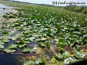 [P01]  -- <small>// FĂRĂ DESCRIERE</small> » foto by Marius& Andu
 - 
<span class="allrVoted glyphicon glyphicon-heart hidden" id="av527351"></span>
<a class="m-l-10 hidden" id="sv527351" onclick="voting_Foto_DelVot(,527351,6339)" role="button">șterge vot <span class="glyphicon glyphicon-remove"></span></a>
<a id="v9527351" class=" c-red"  onclick="voting_Foto_SetVot(527351)" role="button"><span class="glyphicon glyphicon-heart-empty"></span> <b>LIKE</b> = Votează poza</a> <img class="hidden"  id="f527351W9" src="/imagini/loader.gif" border="0" /><span class="AjErrMes hidden" id="e527351ErM"></span>