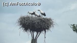 [P04] acest cuib se putea vedea de la fereastra » foto by mirela27
 - 
<span class="allrVoted glyphicon glyphicon-heart hidden" id="av872646"></span>
<a class="m-l-10 hidden" id="sv872646" onclick="voting_Foto_DelVot(,872646,6339)" role="button">șterge vot <span class="glyphicon glyphicon-remove"></span></a>
<a id="v9872646" class=" c-red"  onclick="voting_Foto_SetVot(872646)" role="button"><span class="glyphicon glyphicon-heart-empty"></span> <b>LIKE</b> = Votează poza</a> <img class="hidden"  id="f872646W9" src="/imagini/loader.gif" border="0" /><span class="AjErrMes hidden" id="e872646ErM"></span>