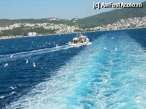 [P12]  -- <small>// FĂRĂ DESCRIERE</small> » foto by Dabator
 - 
<span class="allrVoted glyphicon glyphicon-heart hidden" id="av347050"></span>
<a class="m-l-10 hidden" id="sv347050" onclick="voting_Foto_DelVot(,347050,6346)" role="button">șterge vot <span class="glyphicon glyphicon-remove"></span></a>
<a id="v9347050" class=" c-red"  onclick="voting_Foto_SetVot(347050)" role="button"><span class="glyphicon glyphicon-heart-empty"></span> <b>LIKE</b> = Votează poza</a> <img class="hidden"  id="f347050W9" src="/imagini/loader.gif" border="0" /><span class="AjErrMes hidden" id="e347050ErM"></span>