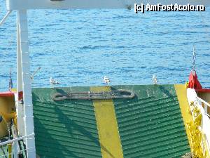 [P13] 3 pescarusi ce au ocupat ferry :)  » foto by Dabator
 - 
<span class="allrVoted glyphicon glyphicon-heart hidden" id="av347051"></span>
<a class="m-l-10 hidden" id="sv347051" onclick="voting_Foto_DelVot(,347051,6346)" role="button">șterge vot <span class="glyphicon glyphicon-remove"></span></a>
<a id="v9347051" class=" c-red"  onclick="voting_Foto_SetVot(347051)" role="button"><span class="glyphicon glyphicon-heart-empty"></span> <b>LIKE</b> = Votează poza</a> <img class="hidden"  id="f347051W9" src="/imagini/loader.gif" border="0" /><span class="AjErrMes hidden" id="e347051ErM"></span>