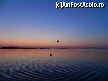 [P08]  -- <small>// FĂRĂ DESCRIERE</small> » foto by Dabator
 - 
<span class="allrVoted glyphicon glyphicon-heart hidden" id="av348341"></span>
<a class="m-l-10 hidden" id="sv348341" onclick="voting_Foto_DelVot(,348341,6346)" role="button">șterge vot <span class="glyphicon glyphicon-remove"></span></a>
<a id="v9348341" class=" c-red"  onclick="voting_Foto_SetVot(348341)" role="button"><span class="glyphicon glyphicon-heart-empty"></span> <b>LIKE</b> = Votează poza</a> <img class="hidden"  id="f348341W9" src="/imagini/loader.gif" border="0" /><span class="AjErrMes hidden" id="e348341ErM"></span>