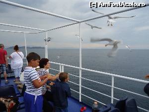 [P28] ritualul de hrănit pescăruşi » foto by marocanu21
 - 
<span class="allrVoted glyphicon glyphicon-heart hidden" id="av634437"></span>
<a class="m-l-10 hidden" id="sv634437" onclick="voting_Foto_DelVot(,634437,6346)" role="button">șterge vot <span class="glyphicon glyphicon-remove"></span></a>
<a id="v9634437" class=" c-red"  onclick="voting_Foto_SetVot(634437)" role="button"><span class="glyphicon glyphicon-heart-empty"></span> <b>LIKE</b> = Votează poza</a> <img class="hidden"  id="f634437W9" src="/imagini/loader.gif" border="0" /><span class="AjErrMes hidden" id="e634437ErM"></span>