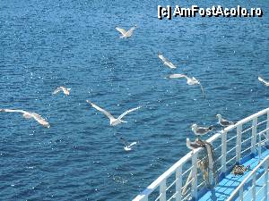 [P03]  -- <small>// FĂRĂ DESCRIERE</small> » foto by vxp
 - 
<span class="allrVoted glyphicon glyphicon-heart hidden" id="av348530"></span>
<a class="m-l-10 hidden" id="sv348530" onclick="voting_Foto_DelVot(,348530,6346)" role="button">șterge vot <span class="glyphicon glyphicon-remove"></span></a>
<a id="v9348530" class=" c-red"  onclick="voting_Foto_SetVot(348530)" role="button"><span class="glyphicon glyphicon-heart-empty"></span> <b>LIKE</b> = Votează poza</a> <img class="hidden"  id="f348530W9" src="/imagini/loader.gif" border="0" /><span class="AjErrMes hidden" id="e348530ErM"></span>