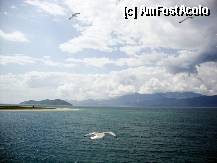 [P12] Deja se zareste Thassos-ul. » foto by Ammelie
 - 
<span class="allrVoted glyphicon glyphicon-heart hidden" id="av330857"></span>
<a class="m-l-10 hidden" id="sv330857" onclick="voting_Foto_DelVot(,330857,6346)" role="button">șterge vot <span class="glyphicon glyphicon-remove"></span></a>
<a id="v9330857" class=" c-red"  onclick="voting_Foto_SetVot(330857)" role="button"><span class="glyphicon glyphicon-heart-empty"></span> <b>LIKE</b> = Votează poza</a> <img class="hidden"  id="f330857W9" src="/imagini/loader.gif" border="0" /><span class="AjErrMes hidden" id="e330857ErM"></span>