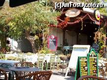 [P14] Cum poţi să refuzi o astfel de invitaţie la una dintre tavernele din Potos? » foto by Aqvila
 - 
<span class="allrVoted glyphicon glyphicon-heart hidden" id="av303020"></span>
<a class="m-l-10 hidden" id="sv303020" onclick="voting_Foto_DelVot(,303020,6346)" role="button">șterge vot <span class="glyphicon glyphicon-remove"></span></a>
<a id="v9303020" class=" c-red"  onclick="voting_Foto_SetVot(303020)" role="button"><span class="glyphicon glyphicon-heart-empty"></span> <b>LIKE</b> = Votează poza</a> <img class="hidden"  id="f303020W9" src="/imagini/loader.gif" border="0" /><span class="AjErrMes hidden" id="e303020ErM"></span>