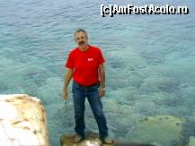 [P09] Apa, de o claritate nefirească, te lasă să vezi coloniile cu arici de mare. » foto by Aqvila
 - 
<span class="allrVoted glyphicon glyphicon-heart hidden" id="av303015"></span>
<a class="m-l-10 hidden" id="sv303015" onclick="voting_Foto_DelVot(,303015,6346)" role="button">șterge vot <span class="glyphicon glyphicon-remove"></span></a>
<a id="v9303015" class=" c-red"  onclick="voting_Foto_SetVot(303015)" role="button"><span class="glyphicon glyphicon-heart-empty"></span> <b>LIKE</b> = Votează poza</a> <img class="hidden"  id="f303015W9" src="/imagini/loader.gif" border="0" /><span class="AjErrMes hidden" id="e303015ErM"></span>