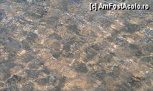 [P21] Apa limpede ca de cleştar lângă plaja de la Limenas. Insula Thassos Grecia.  » foto by traian.leuca †
 - 
<span class="allrVoted glyphicon glyphicon-heart hidden" id="av415303"></span>
<a class="m-l-10 hidden" id="sv415303" onclick="voting_Foto_DelVot(,415303,6346)" role="button">șterge vot <span class="glyphicon glyphicon-remove"></span></a>
<a id="v9415303" class=" c-red"  onclick="voting_Foto_SetVot(415303)" role="button"><span class="glyphicon glyphicon-heart-empty"></span> <b>LIKE</b> = Votează poza</a> <img class="hidden"  id="f415303W9" src="/imagini/loader.gif" border="0" /><span class="AjErrMes hidden" id="e415303ErM"></span>