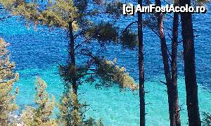 [P04] Culori printre pini, Thasos Grecia » foto by traian.leuca †
 - 
<span class="allrVoted glyphicon glyphicon-heart hidden" id="av394161"></span>
<a class="m-l-10 hidden" id="sv394161" onclick="voting_Foto_DelVot(,394161,6346)" role="button">șterge vot <span class="glyphicon glyphicon-remove"></span></a>
<a id="v9394161" class=" c-red"  onclick="voting_Foto_SetVot(394161)" role="button"><span class="glyphicon glyphicon-heart-empty"></span> <b>LIKE</b> = Votează poza</a> <img class="hidden"  id="f394161W9" src="/imagini/loader.gif" border="0" /><span class="AjErrMes hidden" id="e394161ErM"></span>