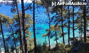 [P09] Vedere printre pini.  » foto by traian.leuca †
 - 
<span class="allrVoted glyphicon glyphicon-heart hidden" id="av394166"></span>
<a class="m-l-10 hidden" id="sv394166" onclick="voting_Foto_DelVot(,394166,6346)" role="button">șterge vot <span class="glyphicon glyphicon-remove"></span></a>
<a id="v9394166" class=" c-red"  onclick="voting_Foto_SetVot(394166)" role="button"><span class="glyphicon glyphicon-heart-empty"></span> <b>LIKE</b> = Votează poza</a> <img class="hidden"  id="f394166W9" src="/imagini/loader.gif" border="0" /><span class="AjErrMes hidden" id="e394166ErM"></span>