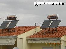 [P09]  -- <small>// FĂRĂ DESCRIERE</small> » foto by trandafir 1970*
 - 
<span class="allrVoted glyphicon glyphicon-heart hidden" id="av142244"></span>
<a class="m-l-10 hidden" id="sv142244" onclick="voting_Foto_DelVot(,142244,6346)" role="button">șterge vot <span class="glyphicon glyphicon-remove"></span></a>
<a id="v9142244" class=" c-red"  onclick="voting_Foto_SetVot(142244)" role="button"><span class="glyphicon glyphicon-heart-empty"></span> <b>LIKE</b> = Votează poza</a> <img class="hidden"  id="f142244W9" src="/imagini/loader.gif" border="0" /><span class="AjErrMes hidden" id="e142244ErM"></span>