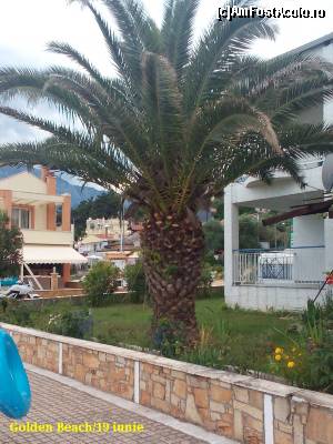 [P30] Palmier nelipsit din orice curte.  » foto by ovidiuyepi
 - 
<span class="allrVoted glyphicon glyphicon-heart hidden" id="av641945"></span>
<a class="m-l-10 hidden" id="sv641945" onclick="voting_Foto_DelVot(,641945,6346)" role="button">șterge vot <span class="glyphicon glyphicon-remove"></span></a>
<a id="v9641945" class=" c-red"  onclick="voting_Foto_SetVot(641945)" role="button"><span class="glyphicon glyphicon-heart-empty"></span> <b>LIKE</b> = Votează poza</a> <img class="hidden"  id="f641945W9" src="/imagini/loader.gif" border="0" /><span class="AjErrMes hidden" id="e641945ErM"></span>