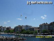 [P21]  -- <small>// FĂRĂ DESCRIERE</small> » foto by adryana
 - 
<span class="allrVoted glyphicon glyphicon-heart hidden" id="av226208"></span>
<a class="m-l-10 hidden" id="sv226208" onclick="voting_Foto_DelVot(,226208,6346)" role="button">șterge vot <span class="glyphicon glyphicon-remove"></span></a>
<a id="v9226208" class=" c-red"  onclick="voting_Foto_SetVot(226208)" role="button"><span class="glyphicon glyphicon-heart-empty"></span> <b>LIKE</b> = Votează poza</a> <img class="hidden"  id="f226208W9" src="/imagini/loader.gif" border="0" /><span class="AjErrMes hidden" id="e226208ErM"></span>