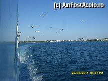 [P78] pescarusii ne insotesc » foto by adryana
 - 
<span class="allrVoted glyphicon glyphicon-heart hidden" id="av226289"></span>
<a class="m-l-10 hidden" id="sv226289" onclick="voting_Foto_DelVot(,226289,6346)" role="button">șterge vot <span class="glyphicon glyphicon-remove"></span></a>
<a id="v9226289" class=" c-red"  onclick="voting_Foto_SetVot(226289)" role="button"><span class="glyphicon glyphicon-heart-empty"></span> <b>LIKE</b> = Votează poza</a> <img class="hidden"  id="f226289W9" src="/imagini/loader.gif" border="0" /><span class="AjErrMes hidden" id="e226289ErM"></span>