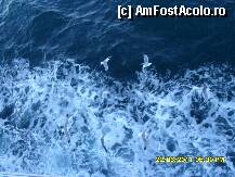 [P80] NO COMMENT » foto by adryana
 - 
<span class="allrVoted glyphicon glyphicon-heart hidden" id="av226295"></span>
<a class="m-l-10 hidden" id="sv226295" onclick="voting_Foto_DelVot(,226295,6346)" role="button">șterge vot <span class="glyphicon glyphicon-remove"></span></a>
<a id="v9226295" class=" c-red"  onclick="voting_Foto_SetVot(226295)" role="button"><span class="glyphicon glyphicon-heart-empty"></span> <b>LIKE</b> = Votează poza</a> <img class="hidden"  id="f226295W9" src="/imagini/loader.gif" border="0" /><span class="AjErrMes hidden" id="e226295ErM"></span>