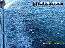 [P81]  -- <small>// FĂRĂ DESCRIERE</small> » foto by adryana
 - 
<span class="allrVoted glyphicon glyphicon-heart hidden" id="av226298"></span>
<a class="m-l-10 hidden" id="sv226298" onclick="voting_Foto_DelVot(,226298,6346)" role="button">șterge vot <span class="glyphicon glyphicon-remove"></span></a>
<a id="v9226298" class=" c-red"  onclick="voting_Foto_SetVot(226298)" role="button"><span class="glyphicon glyphicon-heart-empty"></span> <b>LIKE</b> = Votează poza</a> <img class="hidden"  id="f226298W9" src="/imagini/loader.gif" border="0" /><span class="AjErrMes hidden" id="e226298ErM"></span>