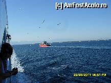 [P88]  -- <small>// FĂRĂ DESCRIERE</small> » foto by adryana
 - 
<span class="allrVoted glyphicon glyphicon-heart hidden" id="av226315"></span>
<a class="m-l-10 hidden" id="sv226315" onclick="voting_Foto_DelVot(,226315,6346)" role="button">șterge vot <span class="glyphicon glyphicon-remove"></span></a>
<a id="v9226315" class=" c-red"  onclick="voting_Foto_SetVot(226315)" role="button"><span class="glyphicon glyphicon-heart-empty"></span> <b>LIKE</b> = Votează poza</a> <img class="hidden"  id="f226315W9" src="/imagini/loader.gif" border="0" /><span class="AjErrMes hidden" id="e226315ErM"></span>