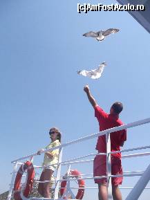 [P03] Pescarusii pofticiosi pe ferry » foto by iulian.chiper
 - 
<span class="allrVoted glyphicon glyphicon-heart hidden" id="av451168"></span>
<a class="m-l-10 hidden" id="sv451168" onclick="voting_Foto_DelVot(,451168,6346)" role="button">șterge vot <span class="glyphicon glyphicon-remove"></span></a>
<a id="v9451168" class=" c-red"  onclick="voting_Foto_SetVot(451168)" role="button"><span class="glyphicon glyphicon-heart-empty"></span> <b>LIKE</b> = Votează poza</a> <img class="hidden"  id="f451168W9" src="/imagini/loader.gif" border="0" /><span class="AjErrMes hidden" id="e451168ErM"></span>
