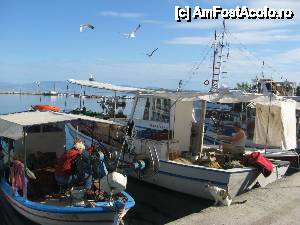 [P10] Pescarii isi pregatesc navoadele pentru pescuitul nocturn » foto by dorgo
 - 
<span class="allrVoted glyphicon glyphicon-heart hidden" id="av442682"></span>
<a class="m-l-10 hidden" id="sv442682" onclick="voting_Foto_DelVot(,442682,6346)" role="button">șterge vot <span class="glyphicon glyphicon-remove"></span></a>
<a id="v9442682" class=" c-red"  onclick="voting_Foto_SetVot(442682)" role="button"><span class="glyphicon glyphicon-heart-empty"></span> <b>LIKE</b> = Votează poza</a> <img class="hidden"  id="f442682W9" src="/imagini/loader.gif" border="0" /><span class="AjErrMes hidden" id="e442682ErM"></span>