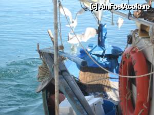 [P11] E destul peste pentru fiecare...  » foto by dorgo
 - 
<span class="allrVoted glyphicon glyphicon-heart hidden" id="av442683"></span>
<a class="m-l-10 hidden" id="sv442683" onclick="voting_Foto_DelVot(,442683,6346)" role="button">șterge vot <span class="glyphicon glyphicon-remove"></span></a>
<a id="v9442683" class=" c-red"  onclick="voting_Foto_SetVot(442683)" role="button"><span class="glyphicon glyphicon-heart-empty"></span> <b>LIKE</b> = Votează poza</a> <img class="hidden"  id="f442683W9" src="/imagini/loader.gif" border="0" /><span class="AjErrMes hidden" id="e442683ErM"></span>